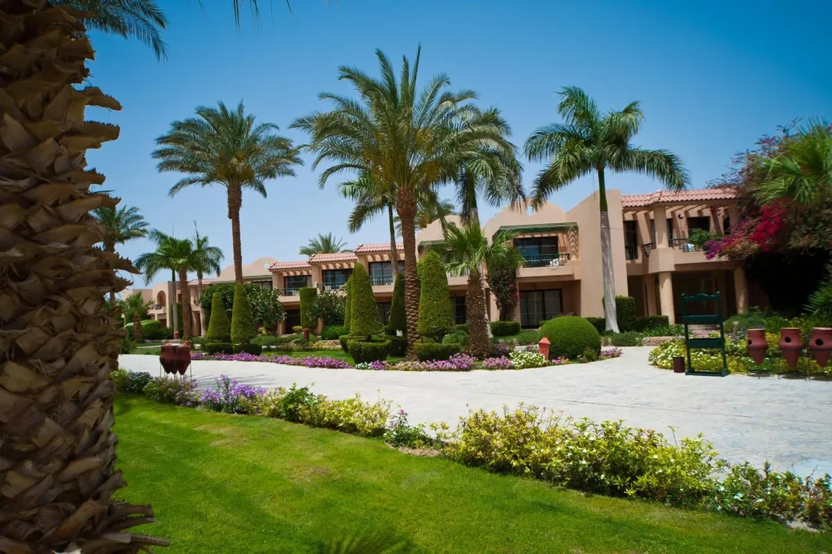 Ali Baba Palace zdjęcie 7