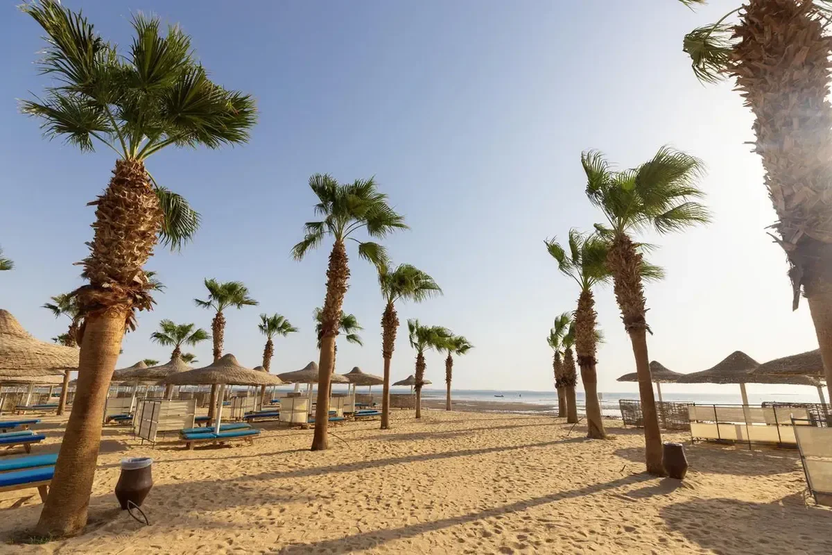 Amwaj Beach Club Resort zdjęcie 5