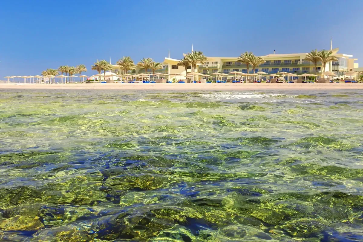 Barcelo Tiran Sharm zdjęcie 4