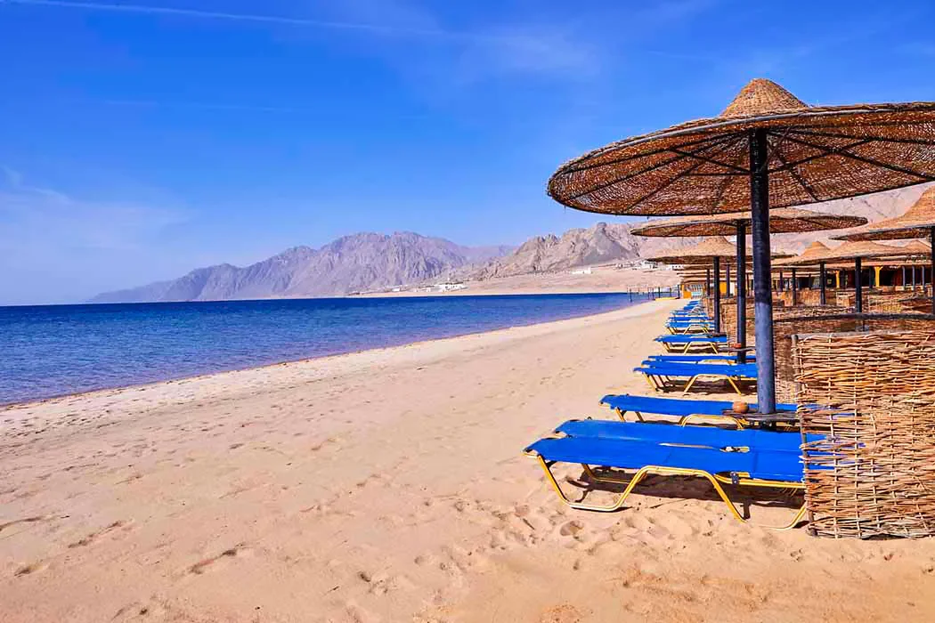 Jaz Dahabeya zdjęcie 6