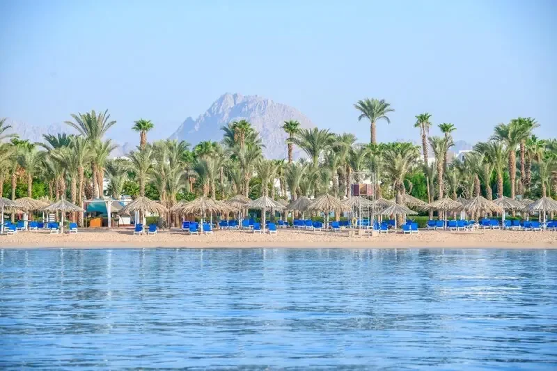 Jaz Fayrouz Resort zdjęcie 6
