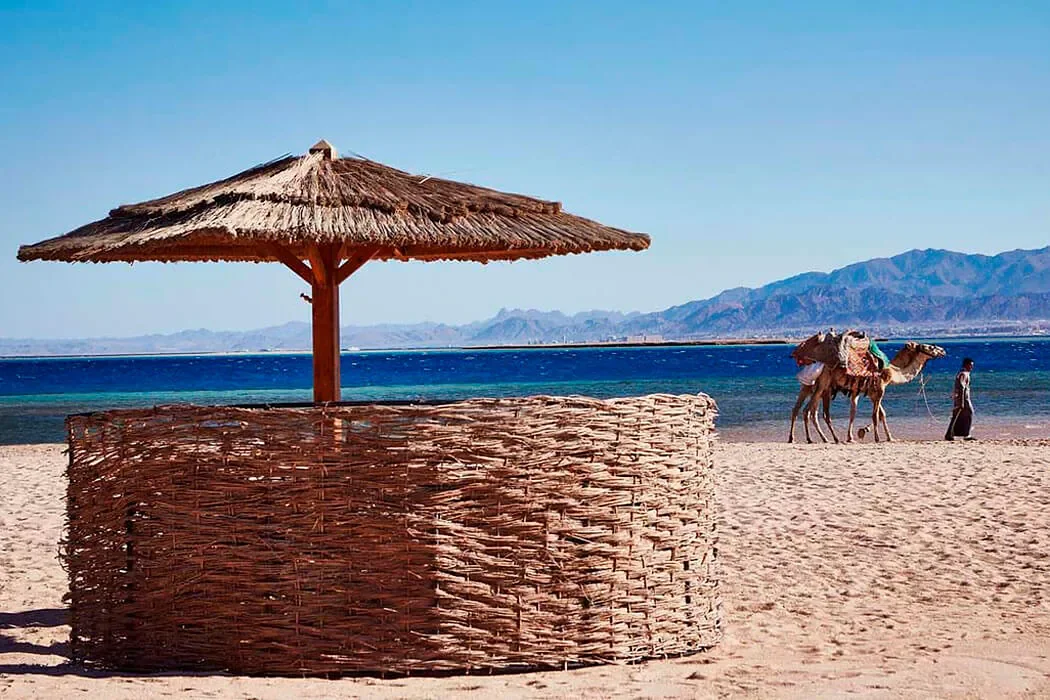 Kempinski Soma Bay zdjęcie 13