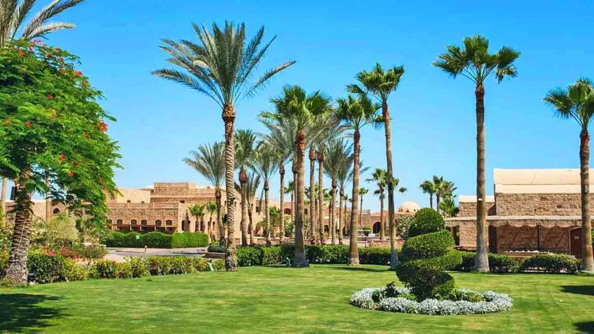 Mövenpick Resort El Quseir zdjęcie 4