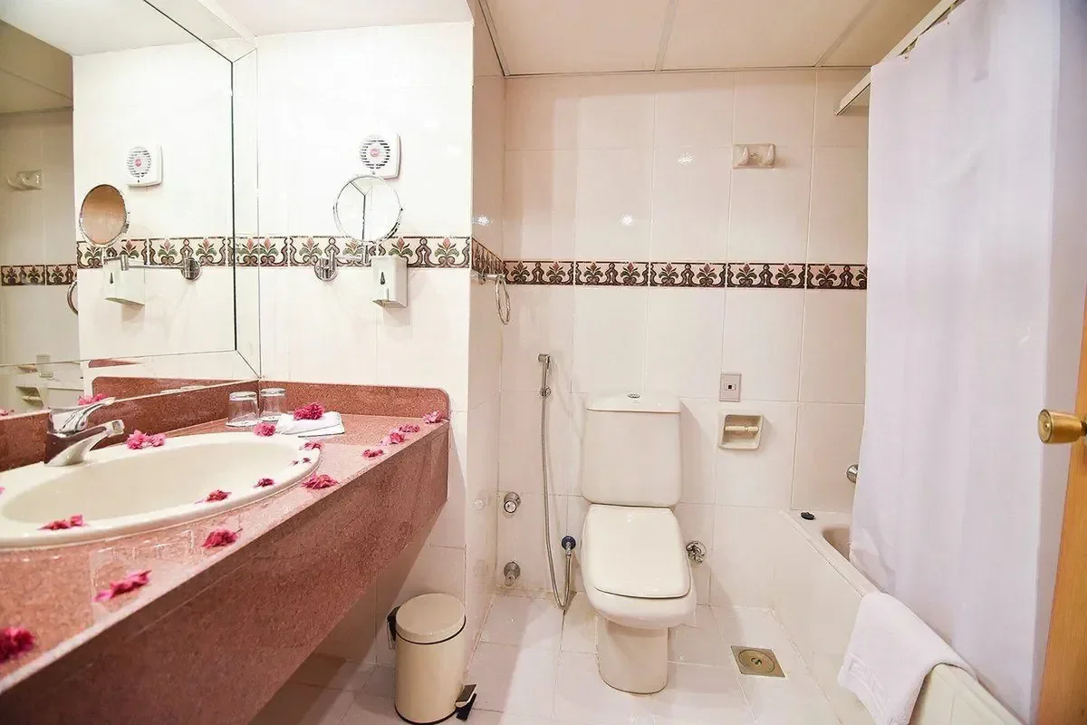 MG Alexander The Great zdjęcie 4