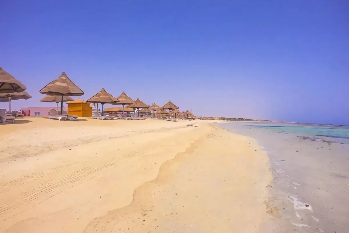 MG Alexander The Great zdjęcie 6