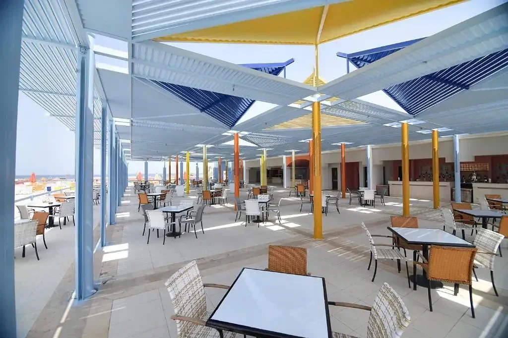 MG Alexander The Great zdjęcie 10