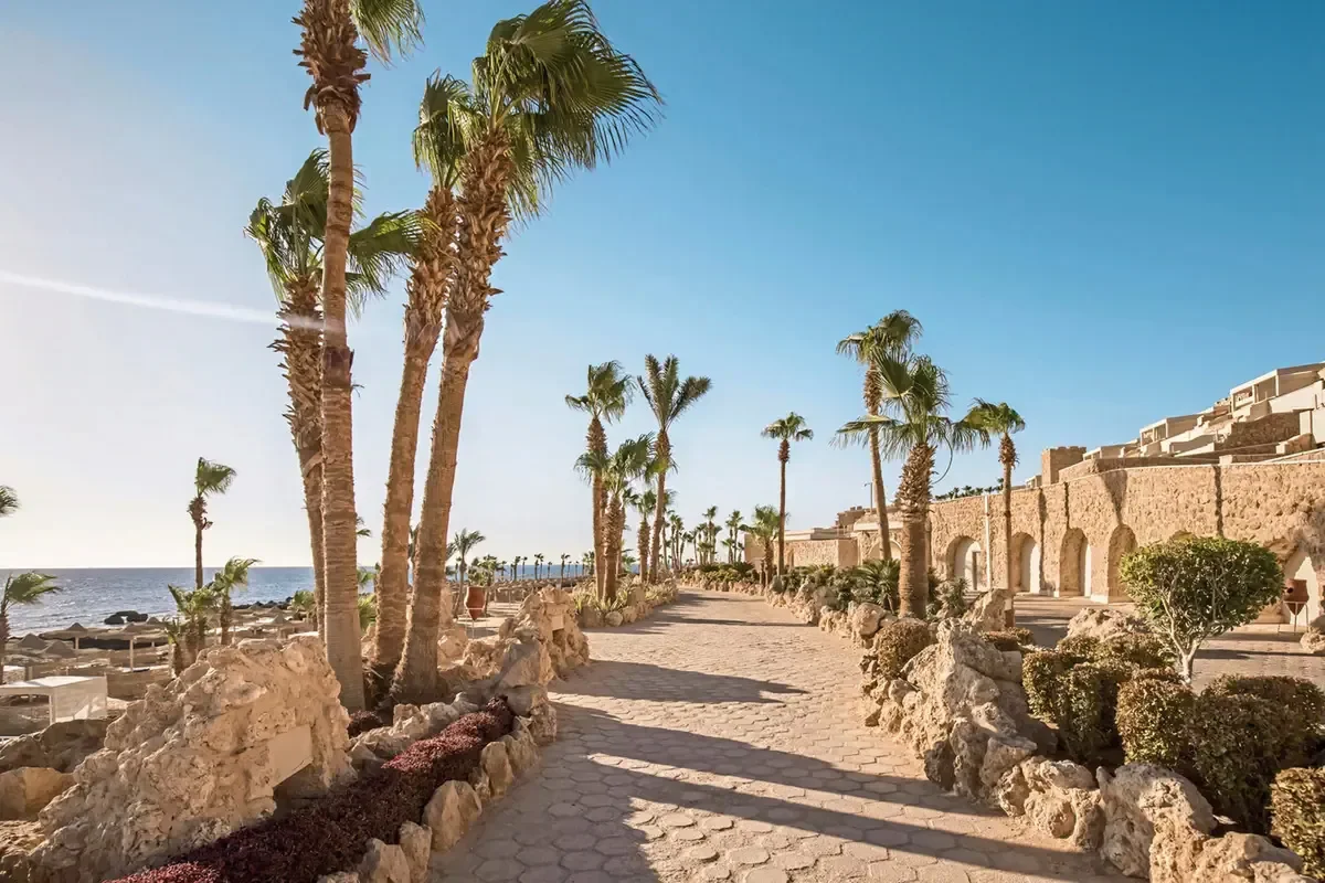 Pickalbatros Citadel Sahl Hasheesh zdjęcie 2
