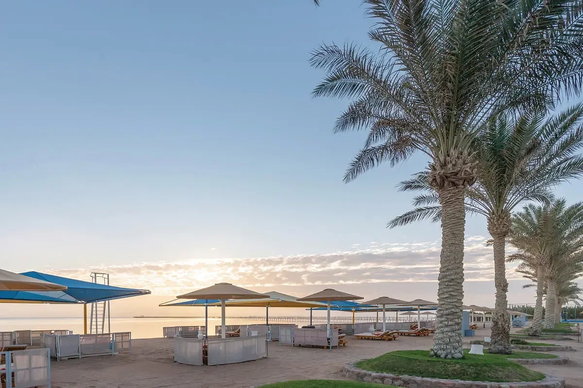 Pickalbatros Royal Moderna zdjęcie 8