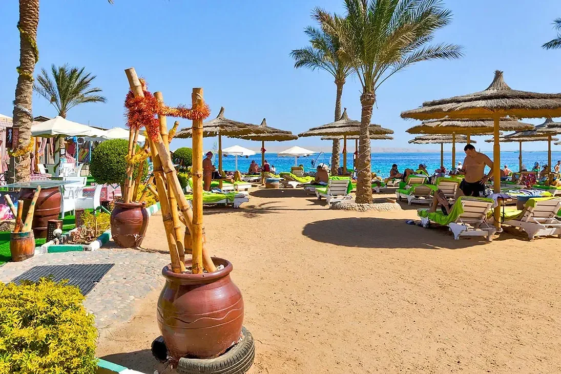 Seagull Beach Resort zdjęcie 13