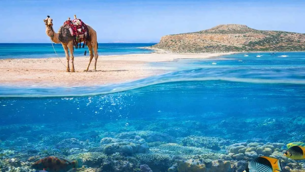 Egipt czy Grecja – gdzie lepsze hotele i ceny w 2026 roku?