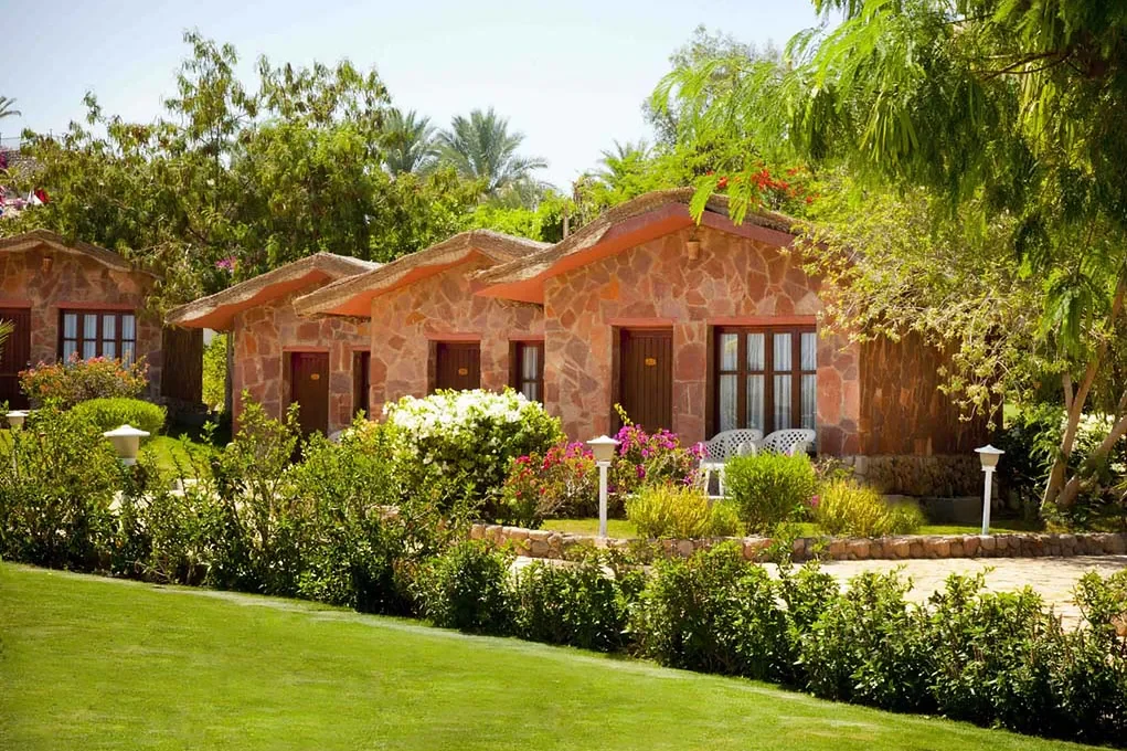 Xperience St. George Homestay zdjęcie 8